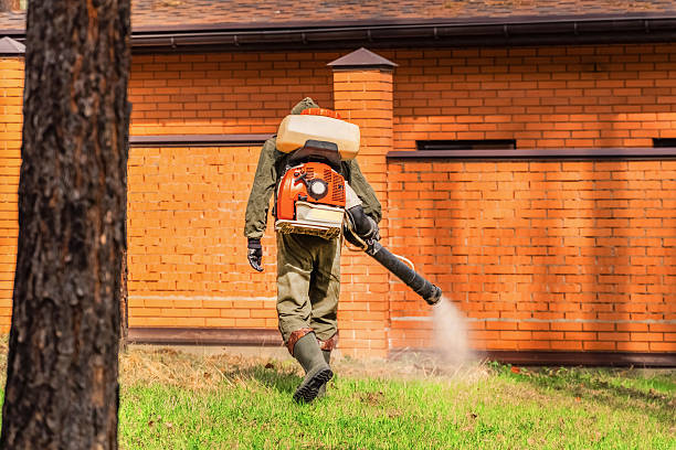 Trusted Mosquito Control service in North Plains, OR - Nex Pest Control